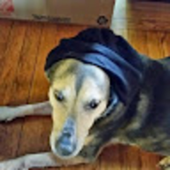 Meet your Posher, Jimmy - Picture 1 of 1